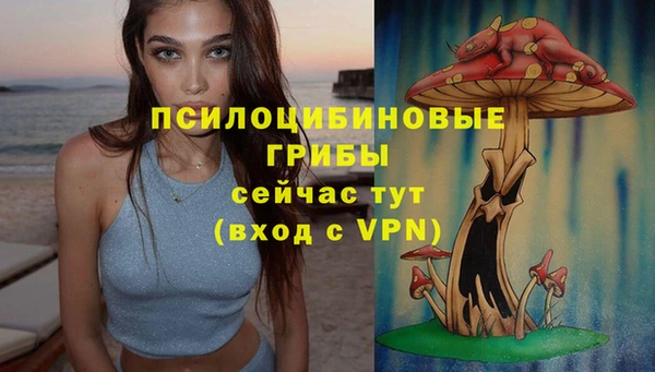 мефедрон Заводоуковск