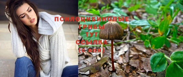 мефедрон Заводоуковск